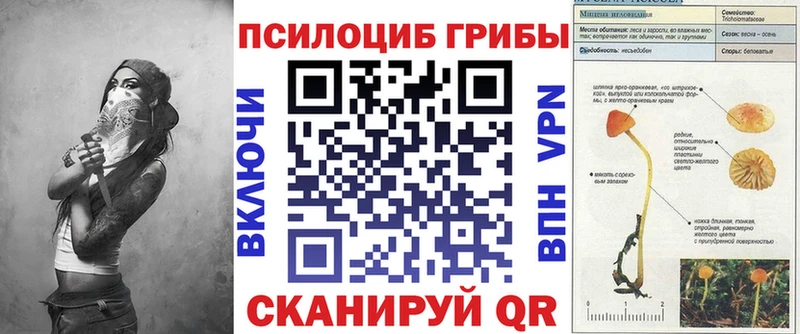 Псилоцибиновые грибы Psilocybe  Алзамай 